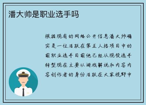 潘大帅是职业选手吗